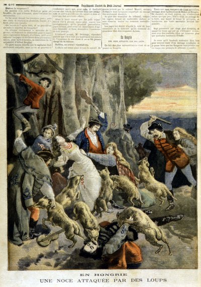 In Ungheria: un matrimonio attaccato dai lupi - in "Le Petity Journal" del 23/12/1894 da Unknown artist