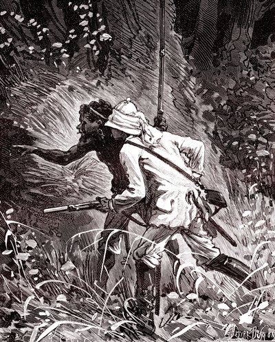 Nei campi di gomma (Hevea) nella giungla della Guyana da Unknown artist
