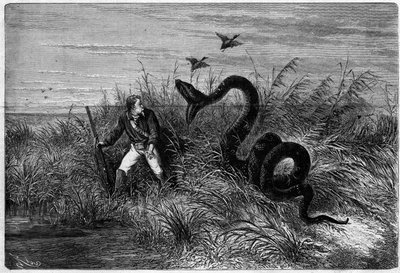 Incidente nella savana durante una caccia alle anatre. Estratto da "Viaggio nella Guyana Francese" di Frederic Bouyer, capitano di fregata. Incisione in "L