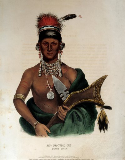 Ritratto di un capo indiano dei Saukie Ap Pa Noo See da Unknown artist