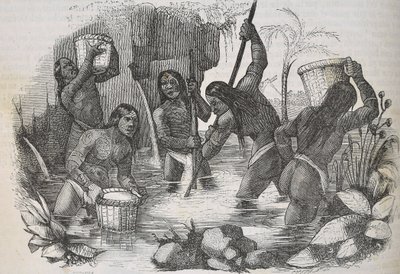 Indiani dell
