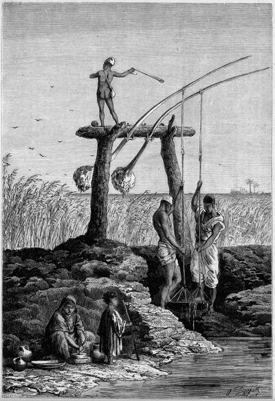 Irrigazione in Egitto: chadoufs (o shadoufs) sulle rive del Nilo. Incisione in "Le Monde Illustré" n.1313 del 27 maggio 1882 da Unknown artist