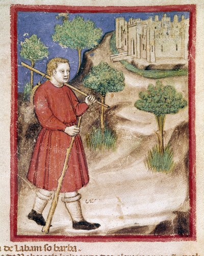 Giacobbe va da Labano in Mesopotamia. Miniatura dal codice 212 (o codice padovano o Bibbia di Padova) 1390-1400 Rovigo, Accademia dei Concordi da Unknown artist