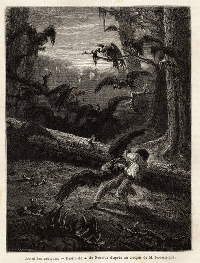Job (compagno di viaggio del redattore), attaccato da avvoltoi. Incisione per illustrare il racconto Quattro mesi in Florida, di M. Pousselgue, nel 1851-1852, pubblicato in "le tour du monde", a cura di Edouard Charton, Hachette, Parigi 1869 da Unknown artist