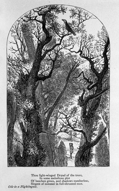 John Keats: Ode a un usignolo da Unknown artist