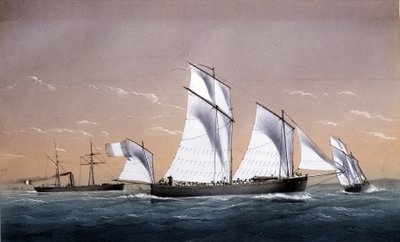 La flotta universale - in "Marines verso il 1850" da Unknown artist