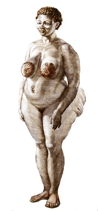 La Venere Ottentotta, donna di razza Bochiman. Incisione del 1815 da Unknown artist