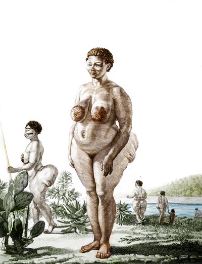 La Venere Ottentotta, donna della razza Bochiman, incisione del 1815. da Unknown artist