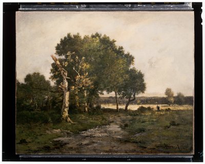 Paesaggio da Unknown artist