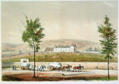 Le clos Vougeot, vigneto della Côte d