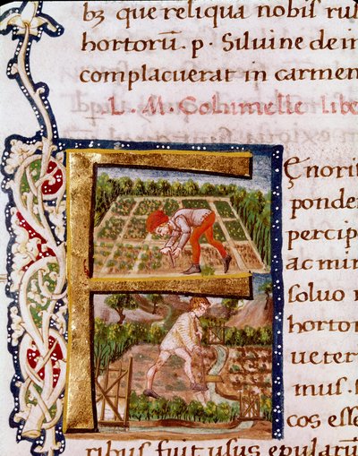 Lettera F dal capitolo sull