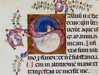 Lettrine S: Davide nella Luce Profonda - Antifonario del XV secolo. Biblioteca Comunale di Rimini da Unknown artist