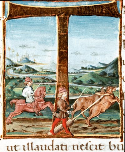 Lettrine T decorate con un cavaliere e un addestratore di buoi - Miniatura tratta dalle Bucoliche (Egloghe) di Virgilio (Publio Virgilio Marone) (70-19 a.C.) (Ms IV E.12). XV secolo Napoli, Biblioteca Nazionale da Unknown artist