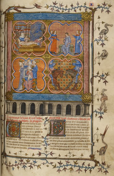 Vita di Giulio Cesare: quattro miniature che mostrano la sua nascita, divorzio, pontificato e lotta con Pompeo; testo con iniziali decorate e bordo con uccelli e grottesche. da Unknown artist