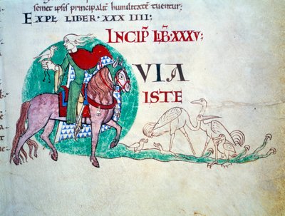 Signore alla caccia con il falcone. Miniatura del Medioevo. Manoscritto Moralia in Job dall