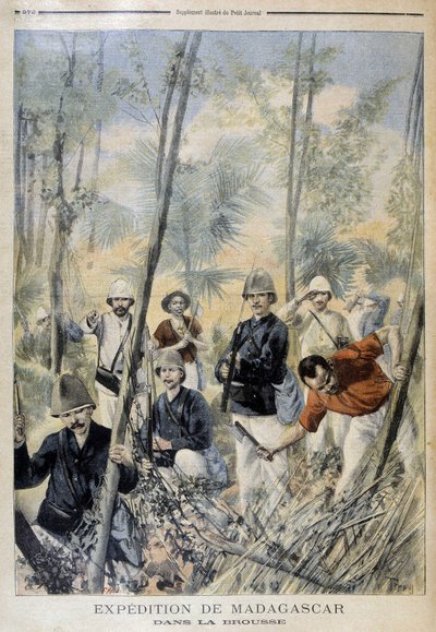 Spedizione in Madagascar: nella boscaglia - in “Le Petit Journal”, agosto 1895 da Unknown artist