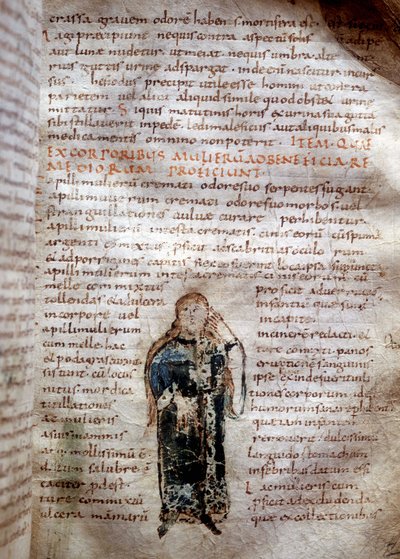 Pagina del manoscritto "De simplicibus medicamentis" di Claudio Galeno (v. 131 - v. 201). VIII o IX secolo. Governativa di Lucca. da Unknown artist