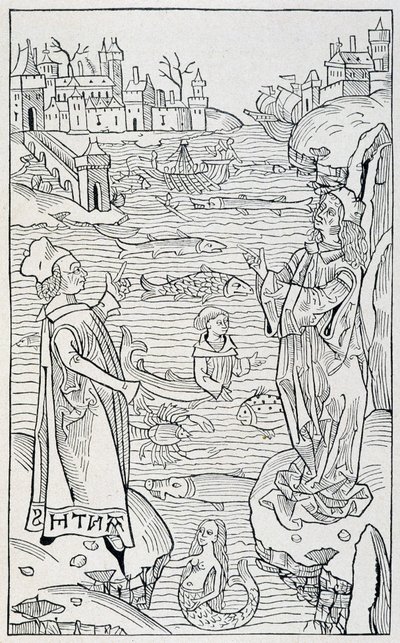 Animali marini e mostri - pagina del titolo del capitolo 