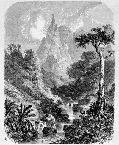 Mauritius: il Peter-Booth - in "Le Tour du Monde", 2° settimana 1861 da Unknown artist