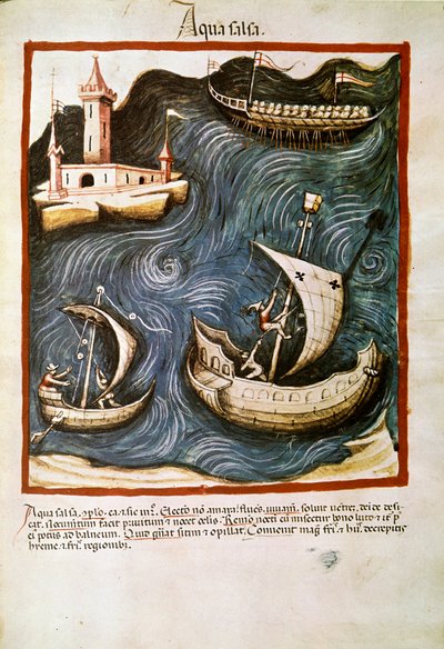 Commercio di medicina: 