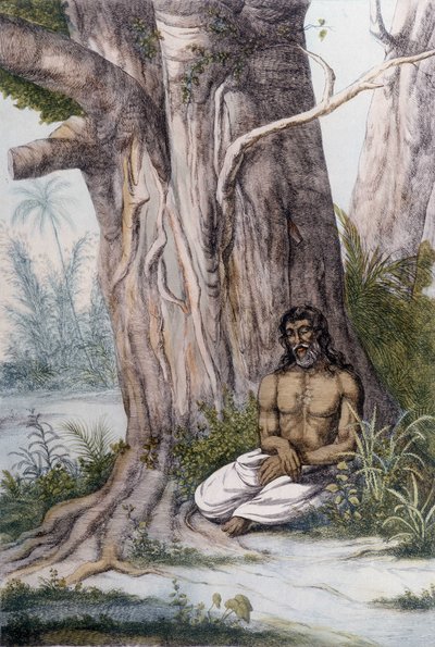 Meditazione ai piedi di un albero, India. da Unknown artist