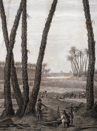 Memphis, vista delle rovine (scienziati e artisti al lavoro) - in "Descrizione dell