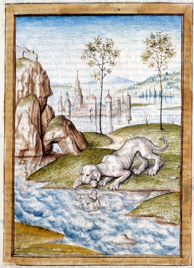 Animali in miniatura da una traduzione tedesca delle favole di Kalila e Dimna di Bidpai da Unknown artist