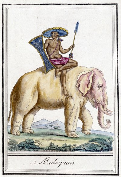 Uomo delle Molucche su un elefante (Isole Molucche, Indonesia) da Unknown artist