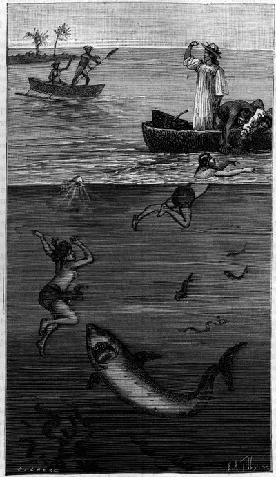 Coltura della madreperla a Tahiti: un raccoglitore di madreperla attaccato da uno squalo. (Secondo i documenti comunicati dall
