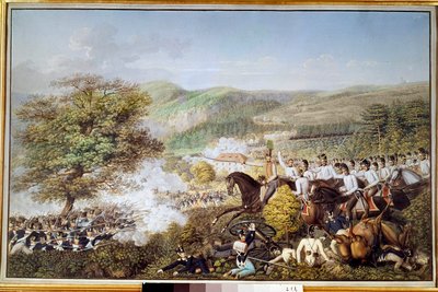 Guerra napoleonica: 