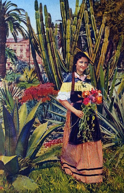 Nicoise. Cartolina postale del 1930 circa. Archivio comunale di Nizza. da Unknown Artist