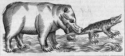 Ippopotamo del Nilo. (Dopo Pierre Belon) da Unknown artist
