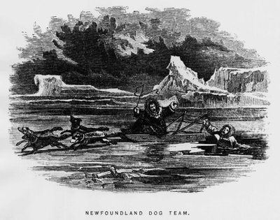 Polo nord: cane da slitta che sorvola un uomo che cade attraverso il ghiaccio - Elisha Kent Kane, Esplorazioni artiche negli anni 1853-1855, Philadelphia, Childs e Peterson da Unknown artist