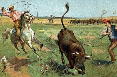 Antica usanza celebrata nella regione della Provenza: la ferrade in Camargue. Cromolitografia della fine del XIX secolo da Unknown artist