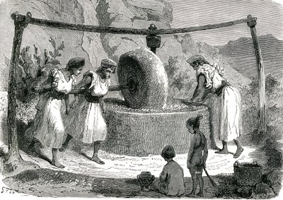 Mulino per macinare olive in Algeria 1885 da Unknown artist