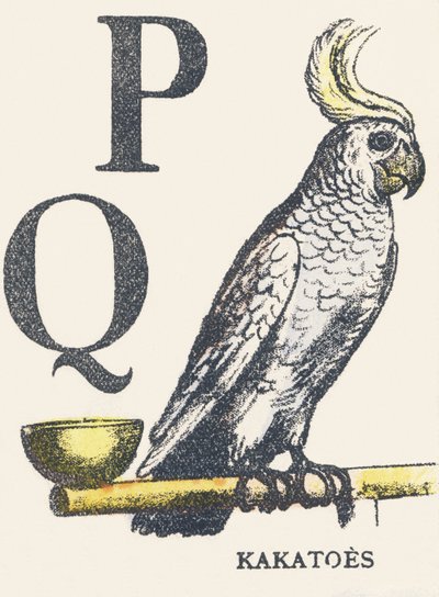 P Q: cacatua da Unknown artist