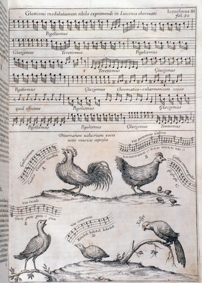 Pagina da Musurgia (1650) da Unknown artist