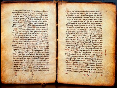 Pagine di una bibbia 