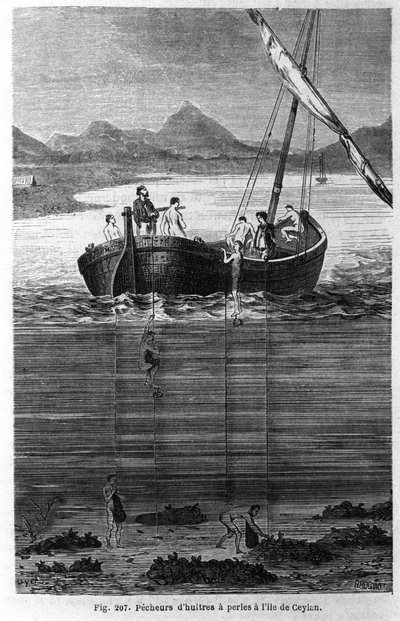 Pescatori di perle a Ceylon (attuale Sri Lanka) da Unknown artist