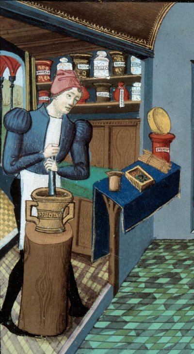 Farmacia: un farmacista, la raccolta delle piante e la preparazione dei medicamenti (dettaglio) da Unknown artist
