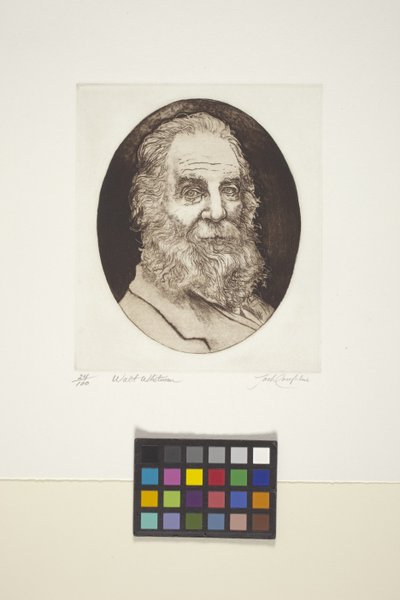 Ritratto di Walt Whitman da Unknown artist