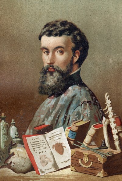 Ritratto di André Vésale (1514-1564), anatomista olandese (In latino: Andrea Vesalius, in olandese: Andries Van Wesel) da 