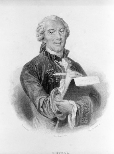 Ritratto di Buffon (1707 - 1788), naturalista e scrittore francese da Unknown artist