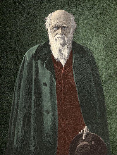Ritratto di Charles Darwin (1809 - 1882) da Unknown artist