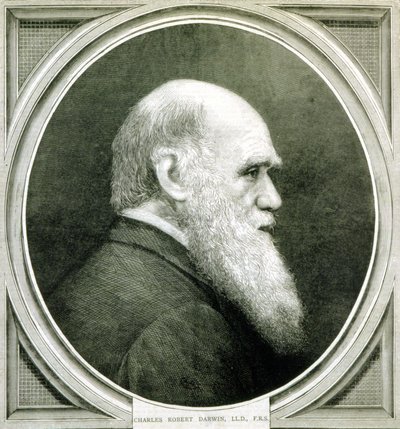 Ritratto di Charles Darwin (1809 - 1882) da Unknown artist