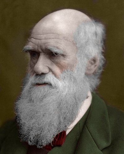 Ritratto di Charles Darwin da Unknown artist