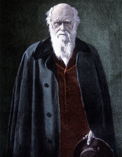 Ritratto di Charles Darwin, naturalista britannico (1809 - 1882) da Unknown artist