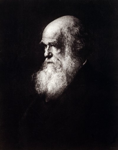 Ritratto di Charles Robert Darwin (1809 - 1882) da Unknown artist
