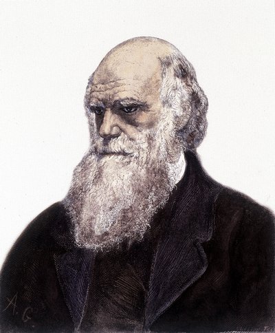 Ritratto di Charles Robert Darwin, naturalista britannico (1809-1882) da Unknown artist