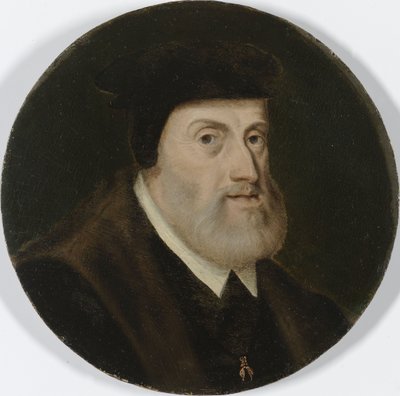 Ritratto di Carlo V, c.1550 (olio su tavola) da Unknown artist
